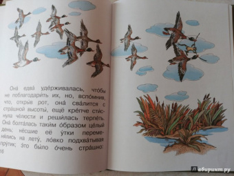 Сладков, Заходер, Гаршин: Лягушка-путешественница и другие сказки о животных