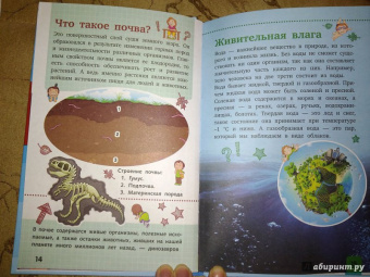 Дмитрий Кошевар: Планета Земля