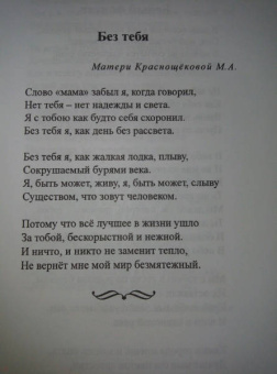 Николай Краснощеков: Стучусь в сердца