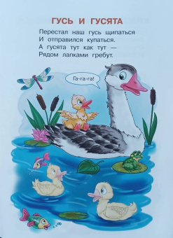 Ирина Шестакова: Домашние животные