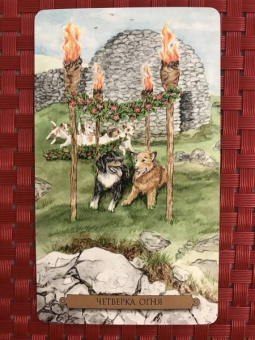 Тарасова, Джетт, Мюллер: Комплект. Таро интуиции+Таро магических собак+Таро исцеляющего сердца