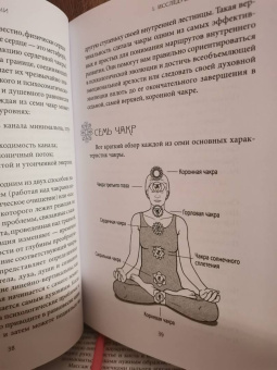 Шай Тубали: Семь дней с чакрами. Работа с энергиями для сбалансированной жизни. План на неделю