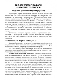Блохин, Блохина: Практикум по зоологии. Учебное пособие для вузов