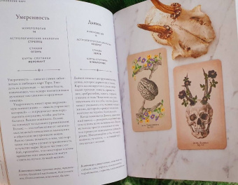 Клэр Гудчайлд: Antique Anatomy Tarot. Таро античной анатомии