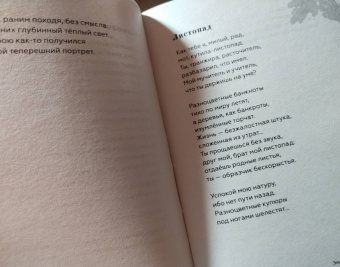 Эльдар Рязанов: У природы нет плохой погоды...