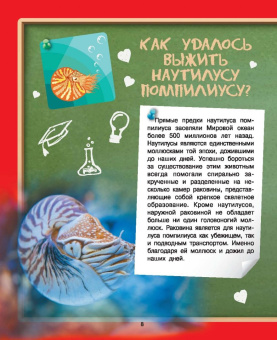 Дмитрий Туровец: Где? Когда? Как?