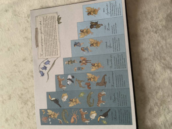 Секретная жизнь фей