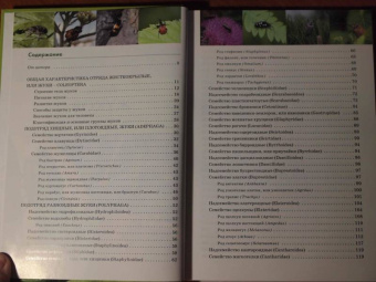 Александр Просвиров: Атлас жуков средней полосы России