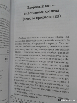 Л. Моисеенко: Скорая помощь для вашего кота