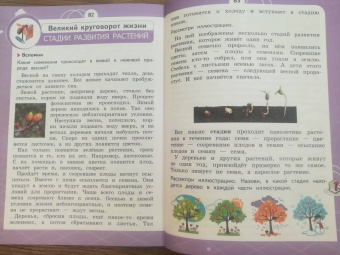 Татьяна Шпотова: Естествознание. Азбука экологии. 2 класс. Учебник. ФГОС