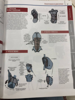 ImagineFX: Анатомия. Создание реалистичных людей и животных + мастер-классы по QR-коду