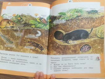 Татьяна Шпотова: Естествознание. 1 класс. Азбука экологии. Учебник. ФГОС