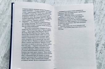 Карина Добротворская: Кто-нибудь видел мою девчонку? 100 писем к Сереже