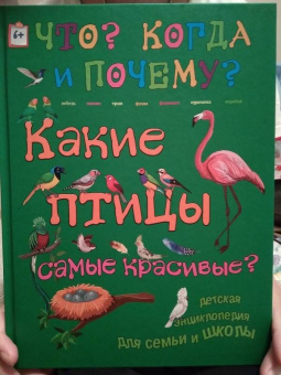 В. Владимиров: Какие птицы самые красивые?