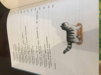 Самые лучшие русские народные сказки