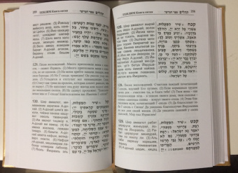 Книга Теилим. Псалмы царя Давида с транслитерацией+Сегулот