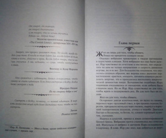 Анджей Сапковский: Сезон гроз. Дорога без возврата