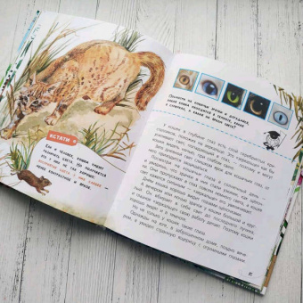 Танасийчук, Волцит, Альтшулер: Почемучкины сказки о животных