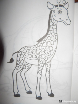 Большая раскраска "Животные"