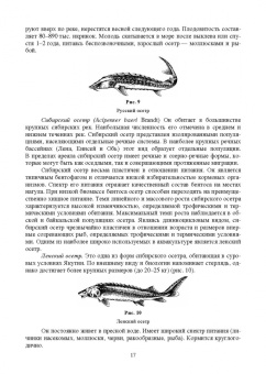 Власов, Жигин: Технология производства продукции биоресурсов. Учебное пособие