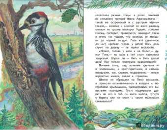 Константин Паустовский: Дремучий медведь. Рассказы и сказки