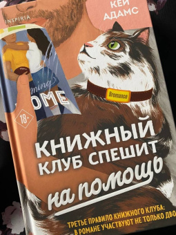 Адамс Кей: Bromance. Книжный клуб спешит на помощь