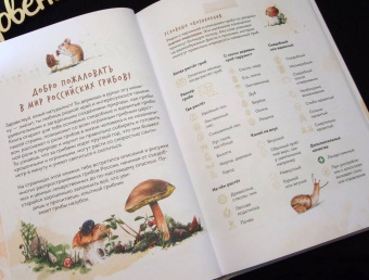 Михаил Вишневский: Грибы. Атлас-определитель