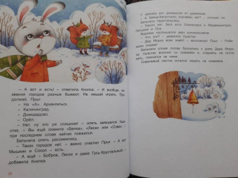 Ирина Муковникова: Новогодняя пропажа. Пушистый детектив