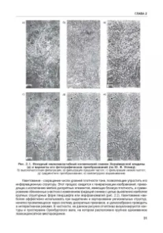 Дмитрий Трофимов: Дистанционные методы в нефтегазовой геологии