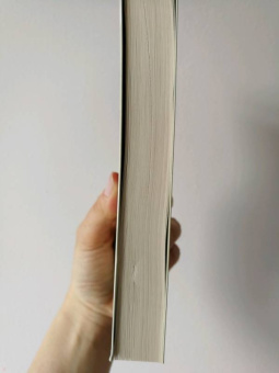 Иэн Макьюэн: Невыносимая любовь