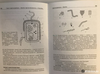 Барабанов, Зайчикова: Ботаника. Учебник