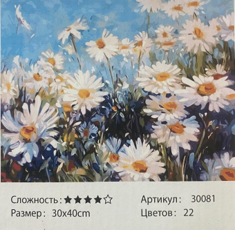 Рисование по номерам " Ромашки  ", 30х40 см