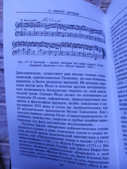 Стюарт Пиготт: Друиды. Поэты, ученые, прорицатели