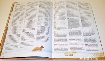 Юрий Маслов-Острович: Степи, прерии, пампасы. Один год жизни исчезающего биома