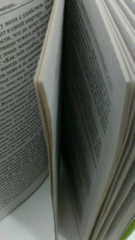 Литвак, Черная: Похождения Трусливой Львицы, или Искусство жить, которому можно научиться
