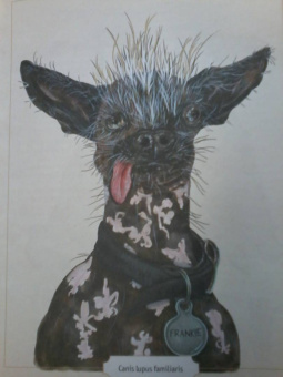 Сэми Бэйли: Энциклопедия удивительных животных