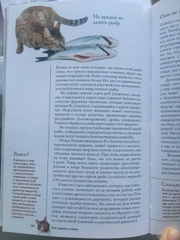 Николай Непомнящий: Все о кошках