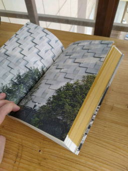 Броновицкая, Малинин: Алма-Ата. Архитектура советского модернизма, 1955-1991. Справочник-путеводитель