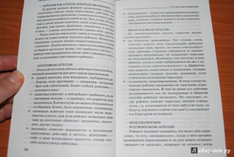 Анна Корниенко: Детская агрессия. Простые способы коррекции нежелательного поведения ребенка