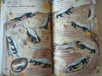 Зоммер, Тейлор: Большая книга зверей