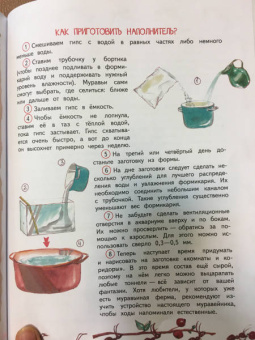 Елена Цезарь: Как это устроено