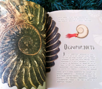 Бен Хоар: Чудеса природы. Энциклопедия