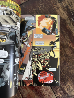 Алан Грант: Бэтмен. Тень Летучей Мыши. Ядовитый Плющ. Год 1-й