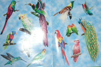 О. Александрова: Птицы. Книжки для любознательных