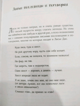Джин Соул: Девять хвостов бессмертного мастера. Том 3