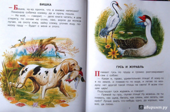 Бианки, Сладков, Толстой: Сказки и рассказы русских писателей