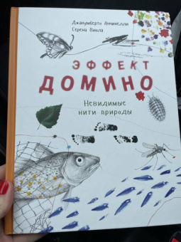 Джанумберто Аччинелли: Эффект домино. Невидимые нити природы