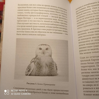 Клайв Финлейсон: Умный неандерталец. Охота на птиц, пещерное искусство и когнитивная революция