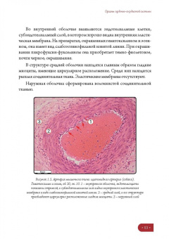 Елена Борхунова: Частная гистология. Интегрирующие системы. Методика изучения препаратов. Учебно-методическое пособие