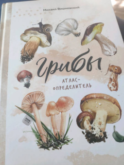 Михаил Вишневский: Грибы. Атлас-определитель